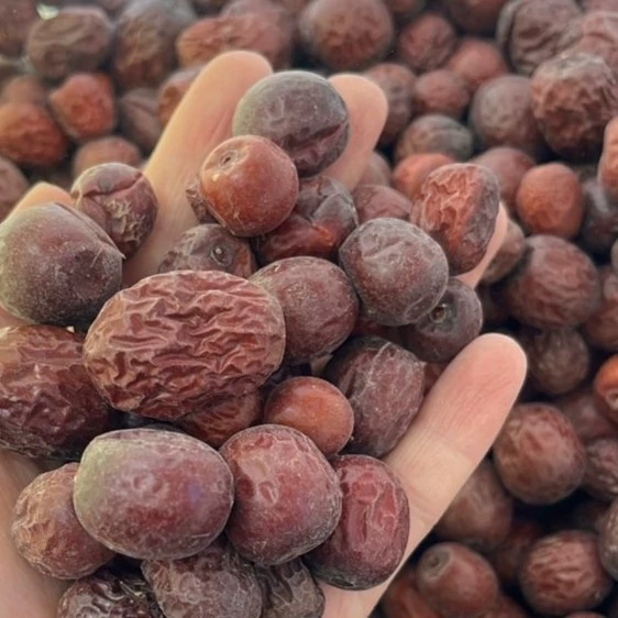 عناب خشک و تازه (یک کیلویی)
